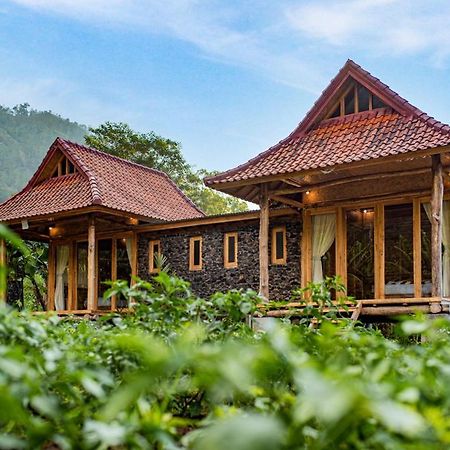 Pondok Manoka Kintamani Exterior foto
