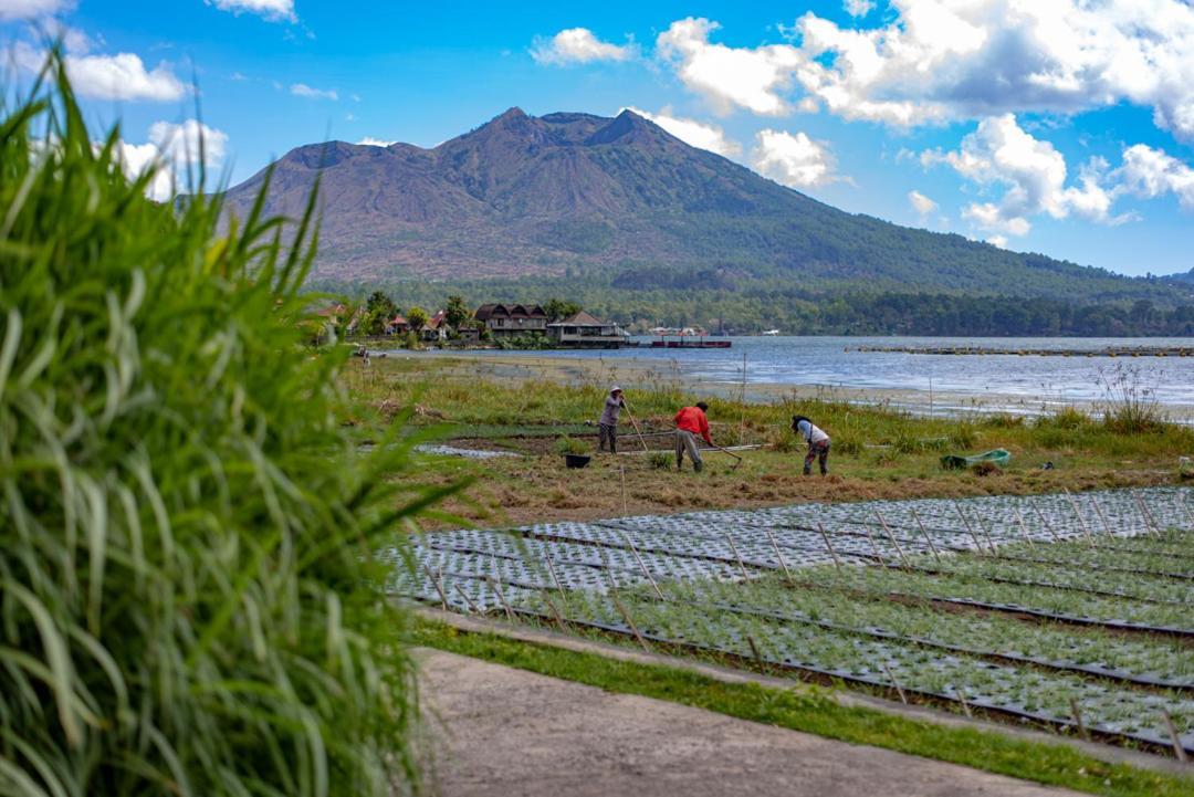 Pondok Manoka Kintamani Exterior foto