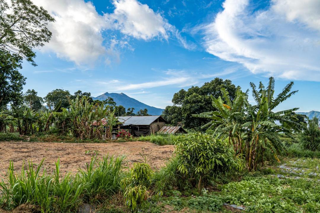 Pondok Manoka Kintamani Exterior foto