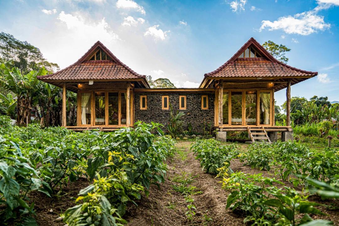 Pondok Manoka Kintamani Exterior foto